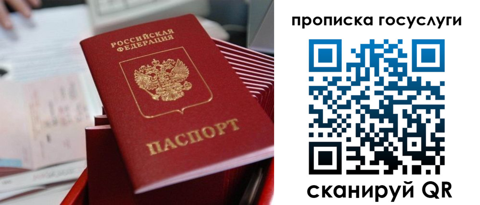 прописка законно в Ряжске